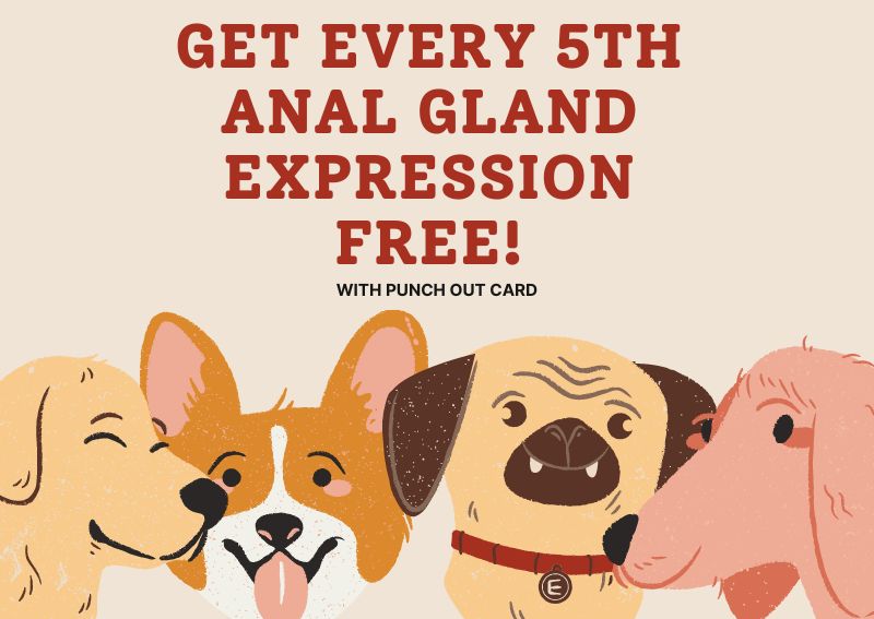 Carousel Slide 4: Request an appointment for your pet!