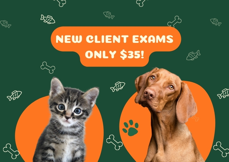 Carousel Slide 2: Fill out our new client form and get started!